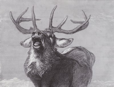 Wyzwanie autorstwa Edwin (after) Landseer
