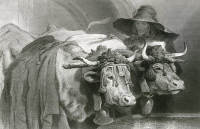 Woły przy czołgu, Genewa (rycina) autorstwa Edwin (after) Landseer