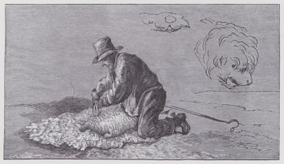 Strzyżenie owiec autorstwa Edwin (after) Landseer
