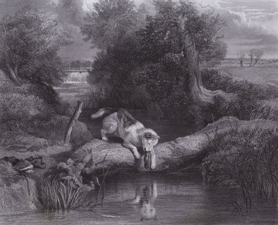 Pies i cień (grawerunek) autorstwa Edwin (after) Landseer