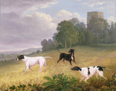 Wskaźniki w pejzażu (olej na płótnie) autorstwa Edwin (attr. to) Cooper
