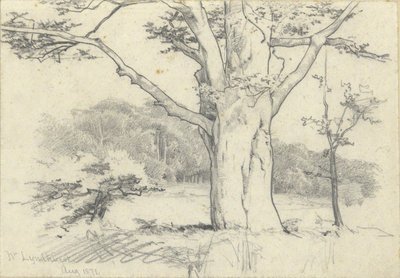 Nr. Lyndhurst, sierpień 1871 autorstwa Edwin Austin Abbey