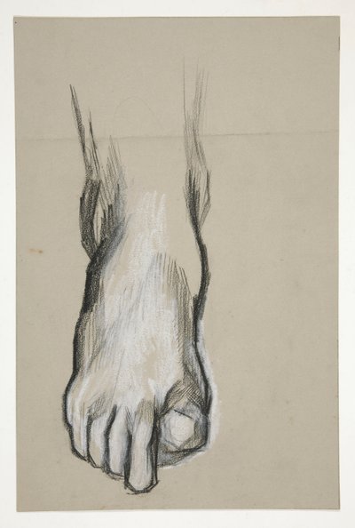 Szkic stopy autorstwa Edwin Austin Abbey