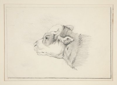 Szkic owcy autorstwa Edwin Austin Abbey