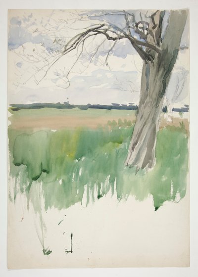 Studium pola i drzewa autorstwa Edwin Austin Abbey