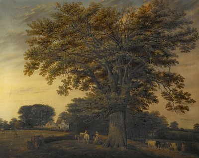 Dąb Binley, 1848 autorstwa Edwin Brown