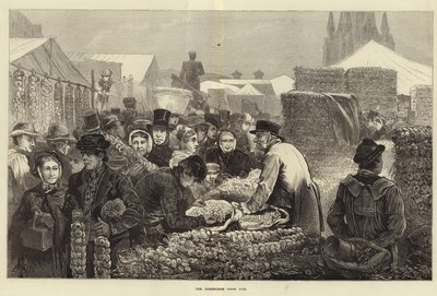 Targi Cebulowe w Birmingham (grawerowanie) autorstwa Edwin Buckman