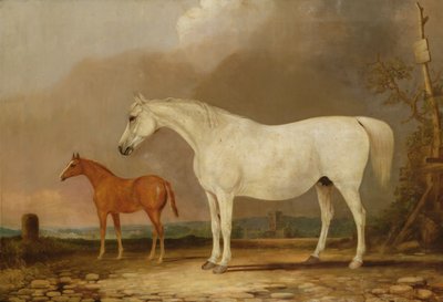 Nieznany obraz autorstwa Edwin Cooper