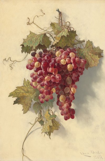 Winogrona na białej ścianie, 1883. autorstwa Edwin Deakin
