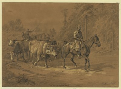 Lider stada Streszczenie/medium: 1 rysunek. autorstwa Edwin Forbes