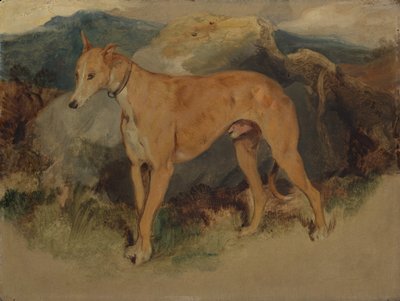 Deerhound, 1826. autorstwa Edwin Landseer