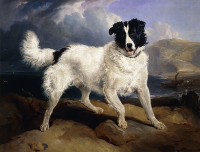 Portret Neptuna, 1824 autorstwa Edwin Landseer