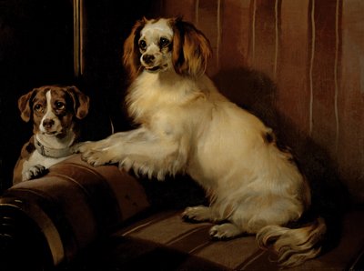Bon(e)y i Var, ok.1843 (olej na płótnie) autorstwa Edwin Landseer