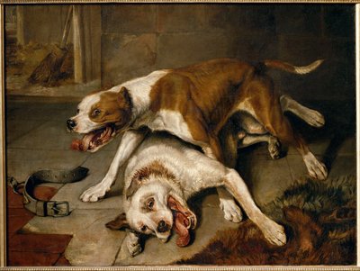 Chiens se battant, reprenant leur souffle - walczące psy wstrzymujące oddech ... autorstwa Edwin Landseer