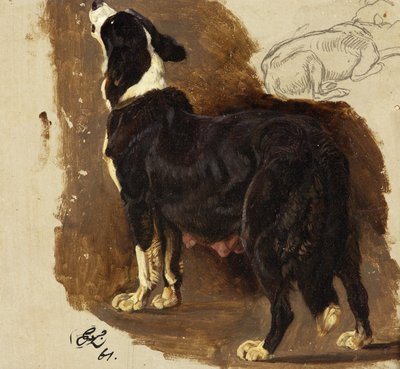 Collie Bitch (olejek i ołówek na kartonie) autorstwa Edwin Landseer