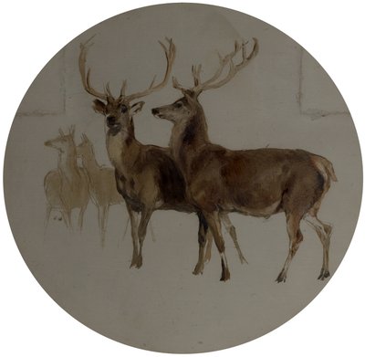 Jeleń w krajobrazie (Studia jelenia) autorstwa Edwin Landseer