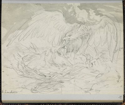 F. 37: Drapieżny ptak karmiący pisklęta, z „Księgi szkiców ze scenami z opowiadań Karola Dickensa” (ołówek na papierze) autorstwa Edwin Landseer