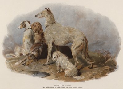Psy wyżynne (chromolitho) autorstwa Edwin Landseer