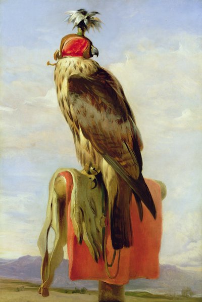 Sokół z kapturem autorstwa Edwin Landseer