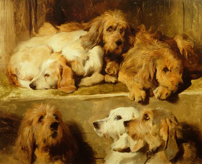 Psy w hodowli autorstwa Edwin Landseer