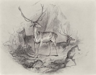 W Dolinie autorstwa Edwin Landseer