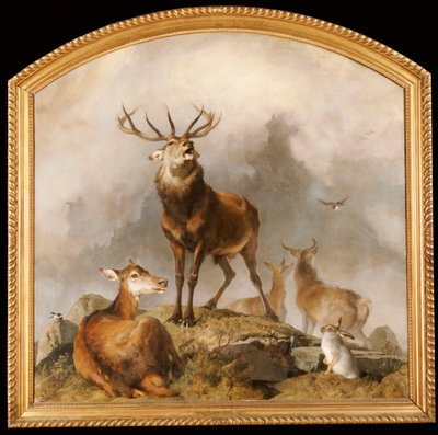 Scena w Braemar - Highland Deer autorstwa Edwin Landseer