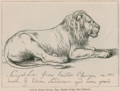 Lew senegalski z Exeter Change autorstwa Edwin Landseer