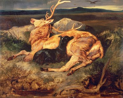 Jeleń autorstwa Edwin Landseer