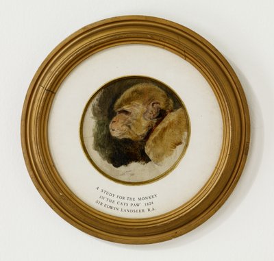 Studium dla małpy w „Kociej łapce”, 1824 (olej i grafit na dębowej płycie) (patrz także 488012) autorstwa Edwin Landseer