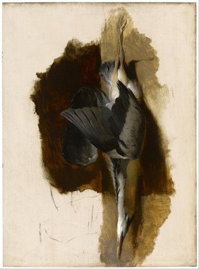 Studium martwej czapli autorstwa Edwin Landseer