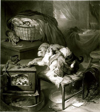 Kocia łapa (rycina) autorstwa Edwin Landseer