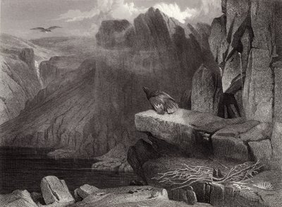 Gniazdo orła autorstwa Edwin Landseer