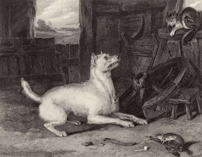 Intruz autorstwa Edwin Landseer