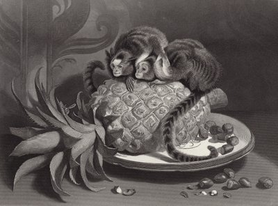 Marmozeci autorstwa Edwin Landseer