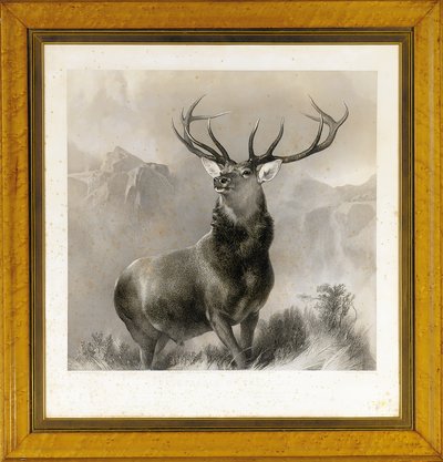 Monarcha Glen, 1852 autorstwa Edwin Landseer