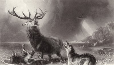 Jeleń w Zatoce autorstwa Edwin Landseer