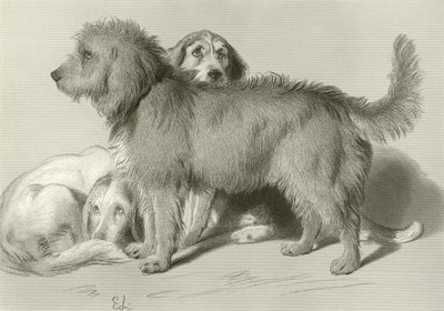 Trzy psy autorstwa Edwin Landseer