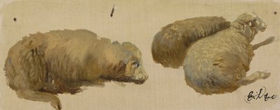 Trzy owce w spoczynku (olej na papierze) autorstwa Edwin Landseer