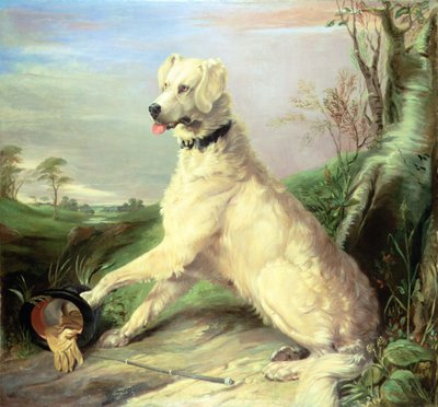 Czekając na mistrza (olej na płótnie) autorstwa Edwin Landseer