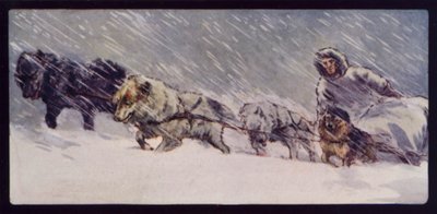 Esquimaux Sledge Dog Team (kolorowe zdjęcie) autorstwa Edwin Noble