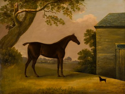 Bay Hunter i terrior przed stajnią, ok. 1805 (olej na płótnie) autorstwa Edwin W. Cooper