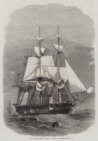 HM Steam-Corvette Racoon, 22 pistolety autorstwa Edwin Weedon