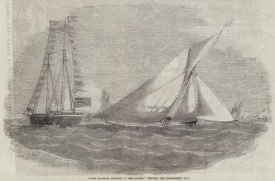 Royal Harwich Regatta, Amazon wygrywający Puchar Komandora autorstwa Edwin Weedon