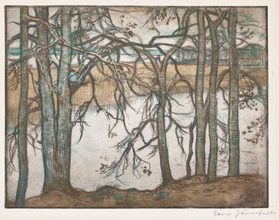  autorstwa Eero Järnefelt