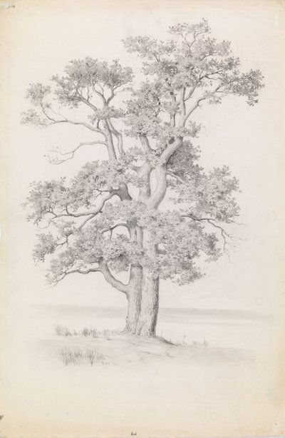  autorstwa Eero Järnefelt