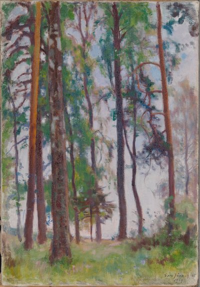 Pines autorstwa Eero Järnefelt