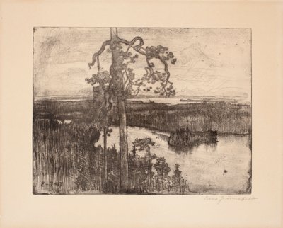 Bez tytułu autorstwa Eero Järnefelt