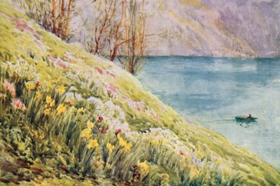 Szwajcaria autorstwa Effie Jardine