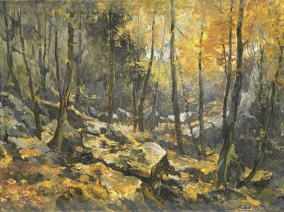 „Felsenmeer” autorstwa Egbert Rubertus Derk Schaap