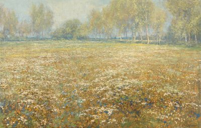 Łąka w Bloom autorstwa Egbert Schaap